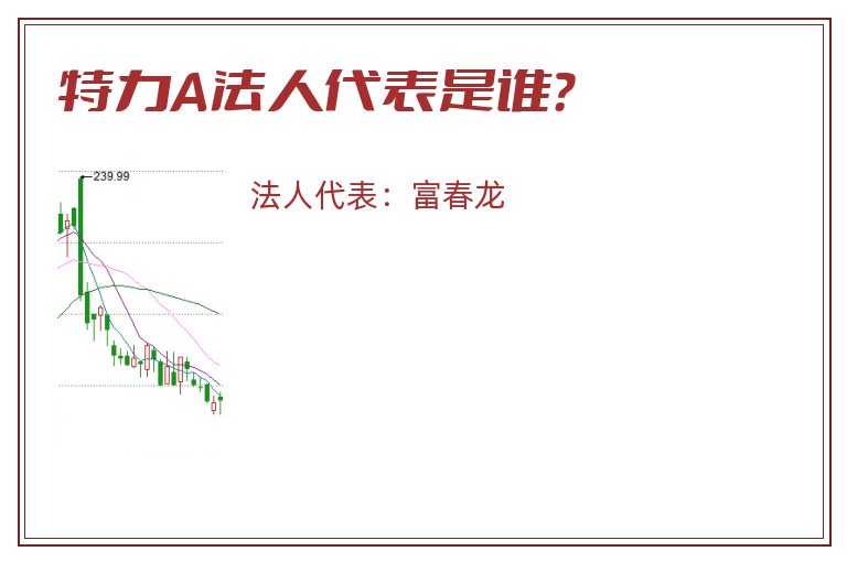 特力A法人代表是谁？