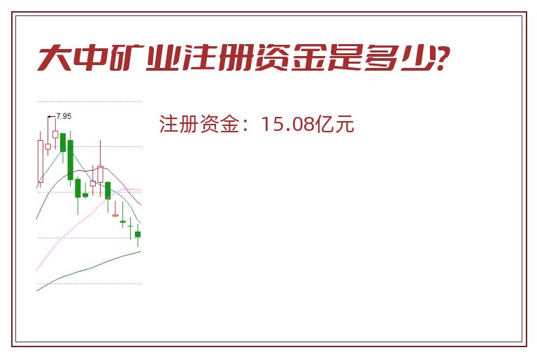 大中矿业注册资金是多少？