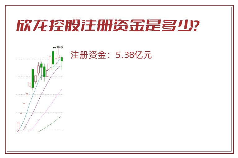 欣龙控股注册资金是多少？