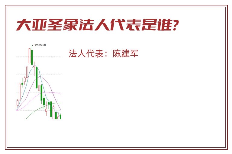 大亚圣象法人代表是谁？