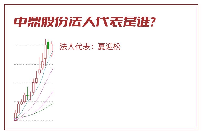 中鼎股份法人代表是谁？