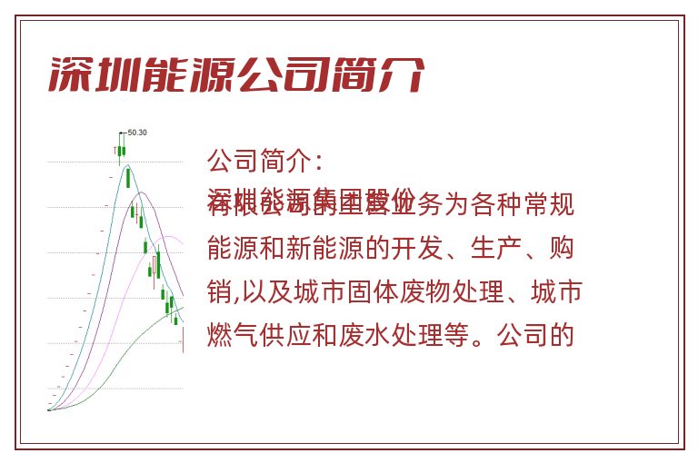 深圳能源公司简介