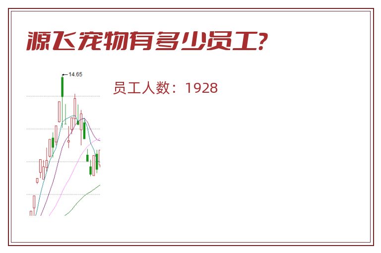 源飞宠物有多少员工？