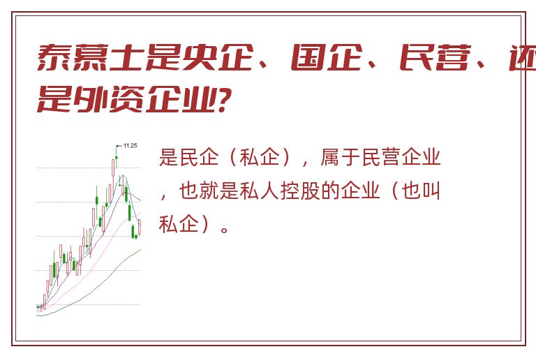 泰慕士是央企、国企、民营、还是外资企业？