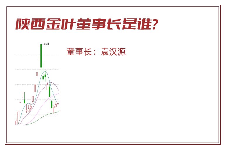 陕西金叶董事长是谁？