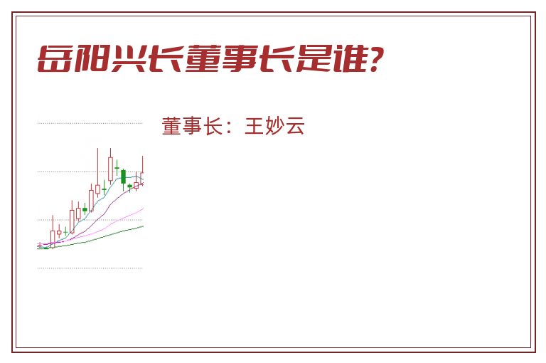 岳阳兴长董事长是谁？