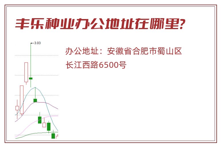 丰乐种业办公地址在哪里？