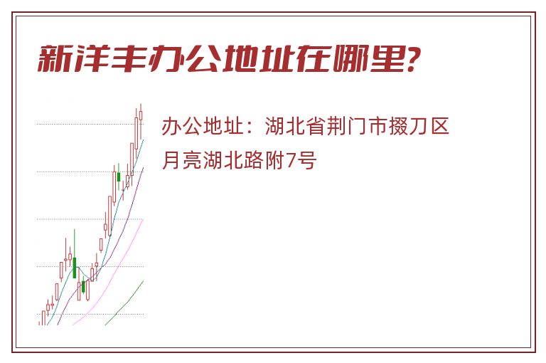 新洋丰办公地址在哪里？