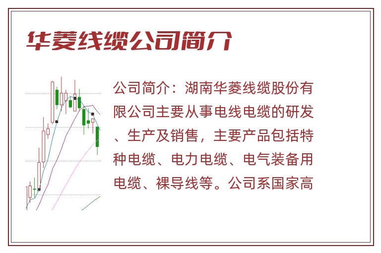 华菱线缆公司简介