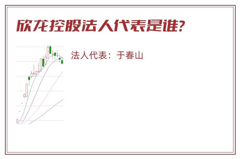 欣龙控股法人代表是谁？