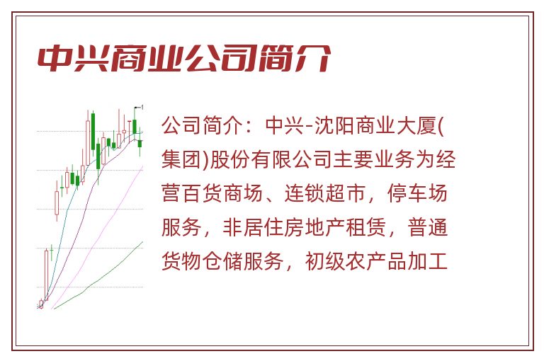 中兴商业公司简介