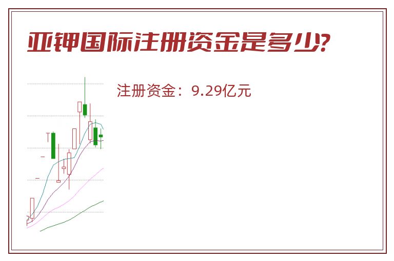 亚钾国际注册资金是多少？