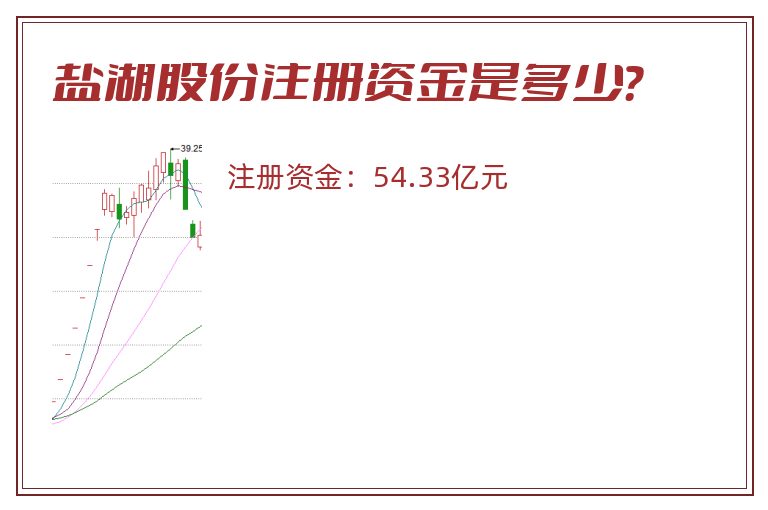 盐湖股份注册资金是多少？