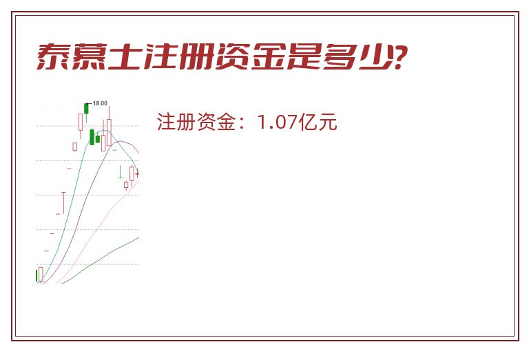 泰慕士注册资金是多少？