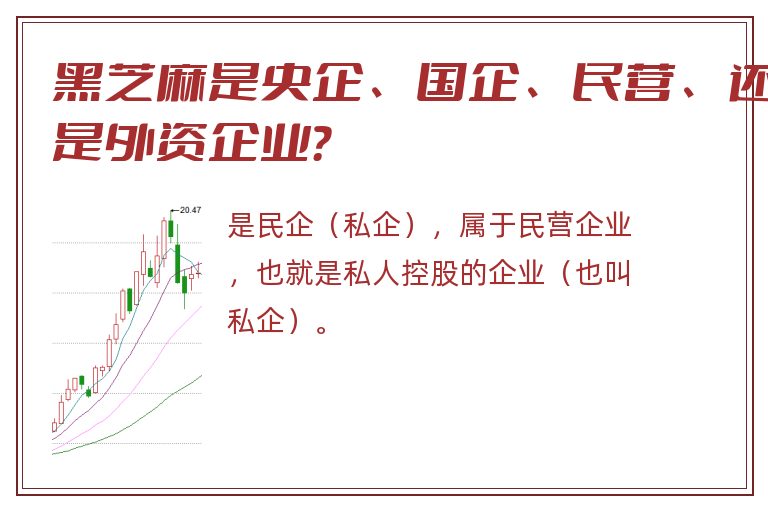 黑芝麻是央企、国企、民营、还是外资企业？