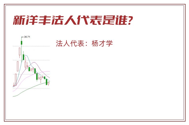 新洋丰法人代表是谁？