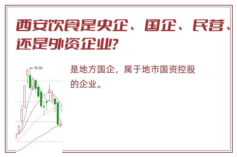 西安饮食是央企、国企、民营、还是外资企业？