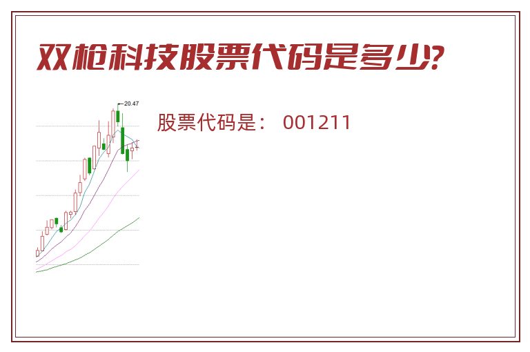 双枪科技股票代码是多少？