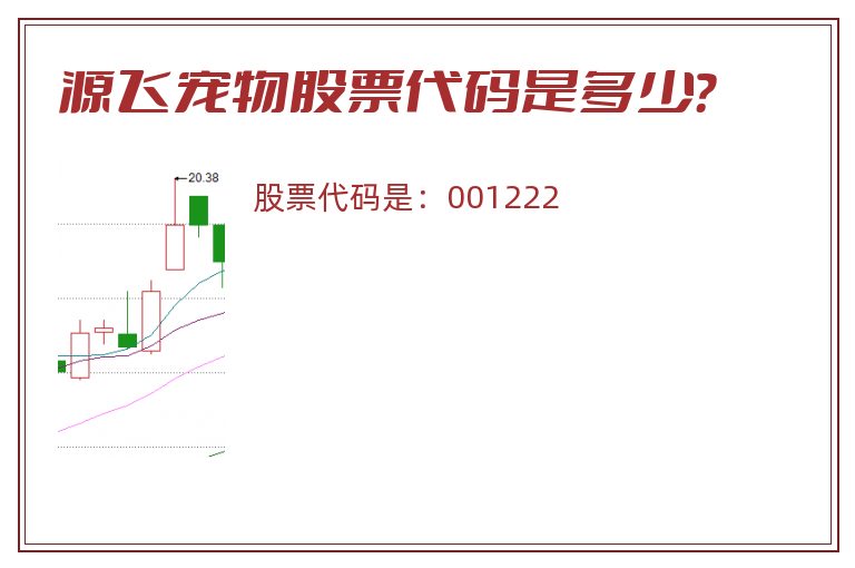 源飞宠物股票代码是多少？