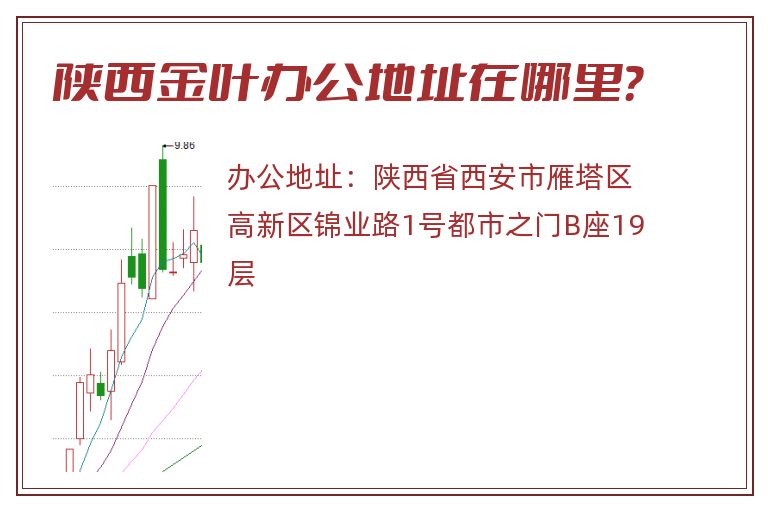 陕西金叶办公地址在哪里？