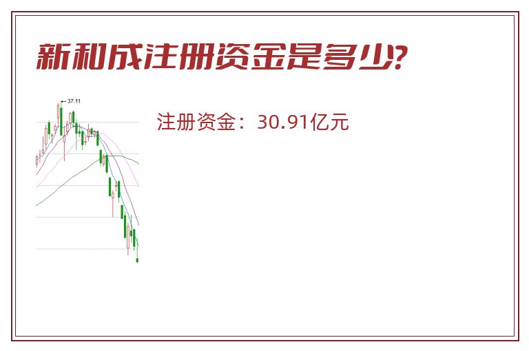 新和成注册资金是多少？