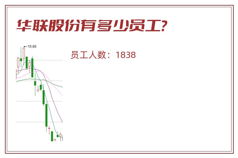 华联股份有多少员工？