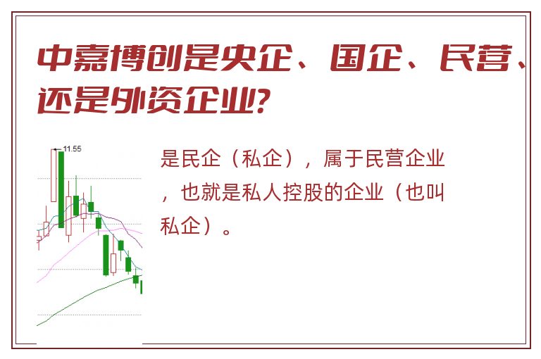 中嘉博创是央企、国企、民营、还是外资企业？