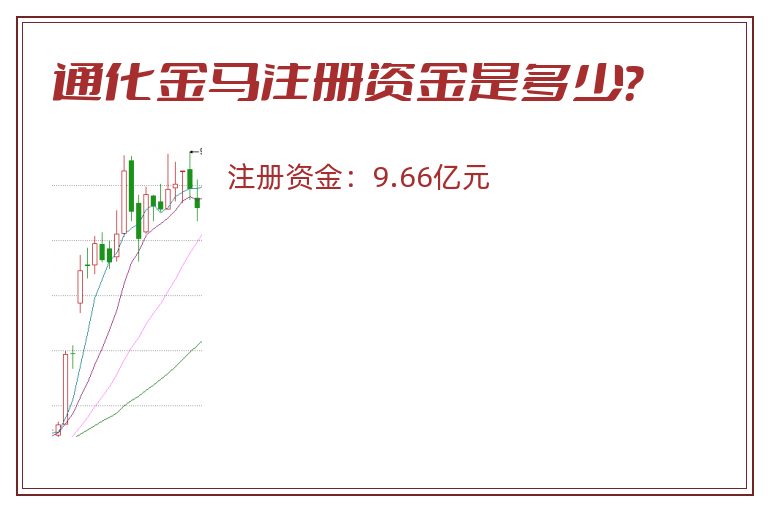 通化金马注册资金是多少？