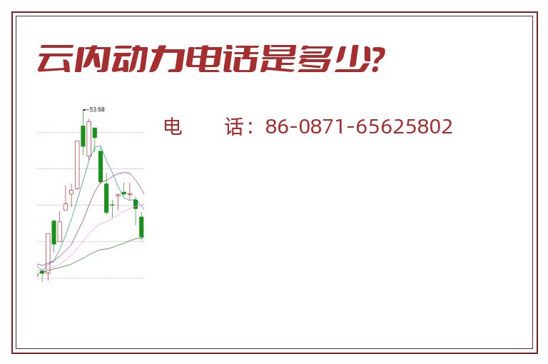 云内动力电话是多少？