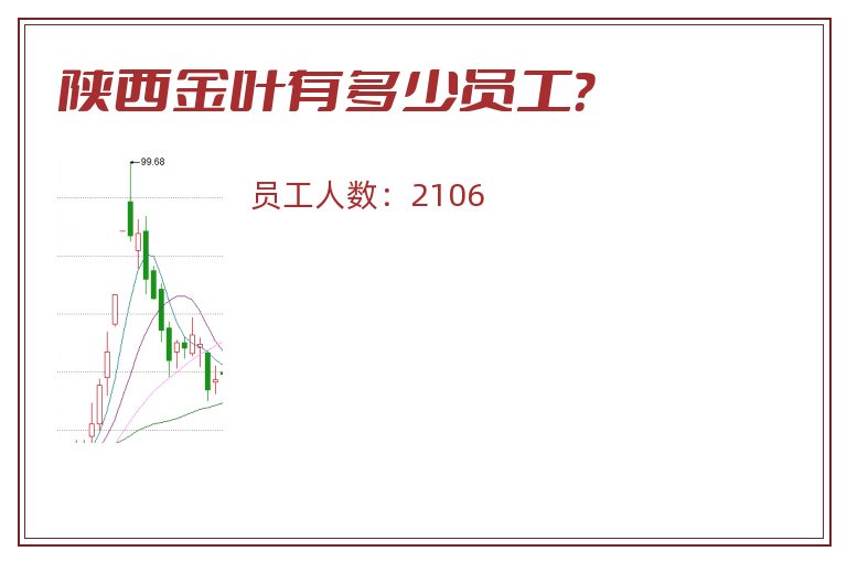 陕西金叶有多少员工？