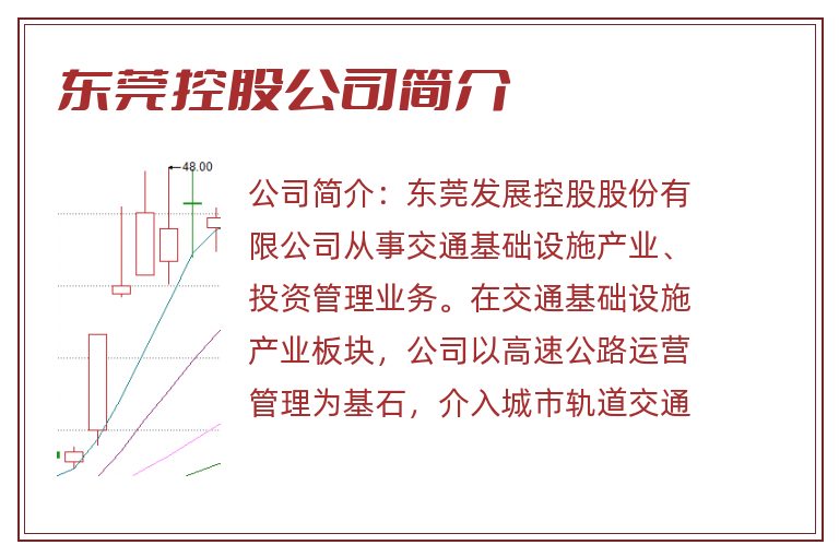 东莞控股公司简介