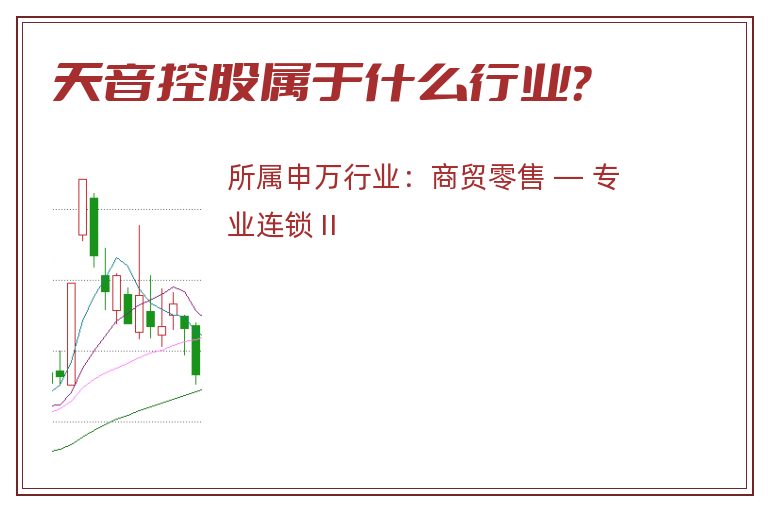 天音控股属于什么行业？