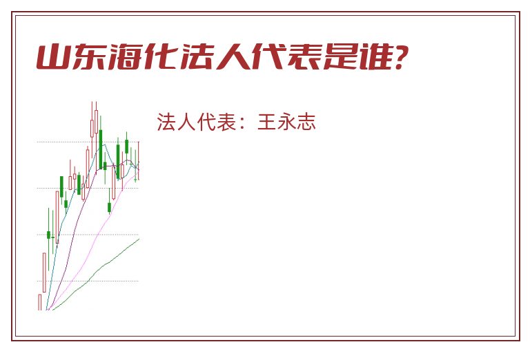 山东海化法人代表是谁？