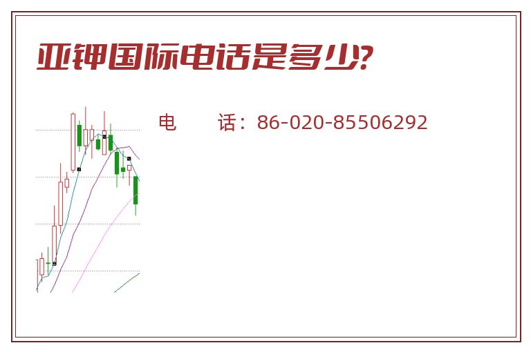 亚钾国际电话是多少？