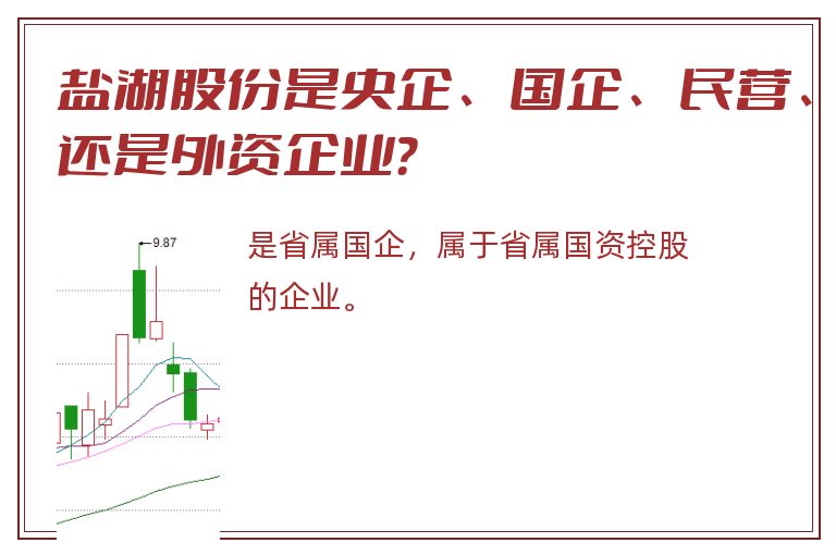 盐湖股份是央企、国企、民营、还是外资企业？