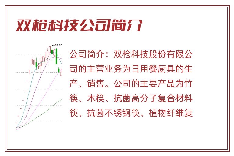 双枪科技公司简介