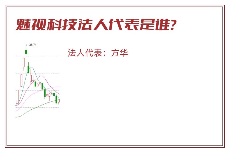 魅视科技法人代表是谁？