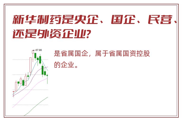 新华制药是央企、国企、民营、还是外资企业？