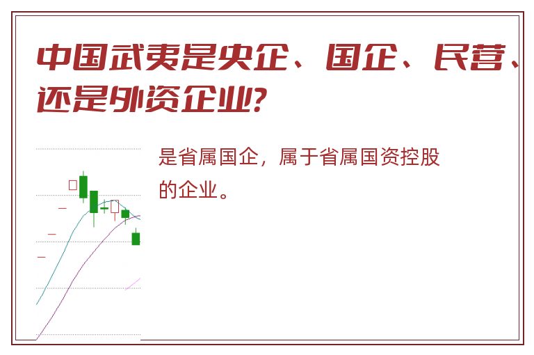 中国武夷是央企、国企、民营、还是外资企业？