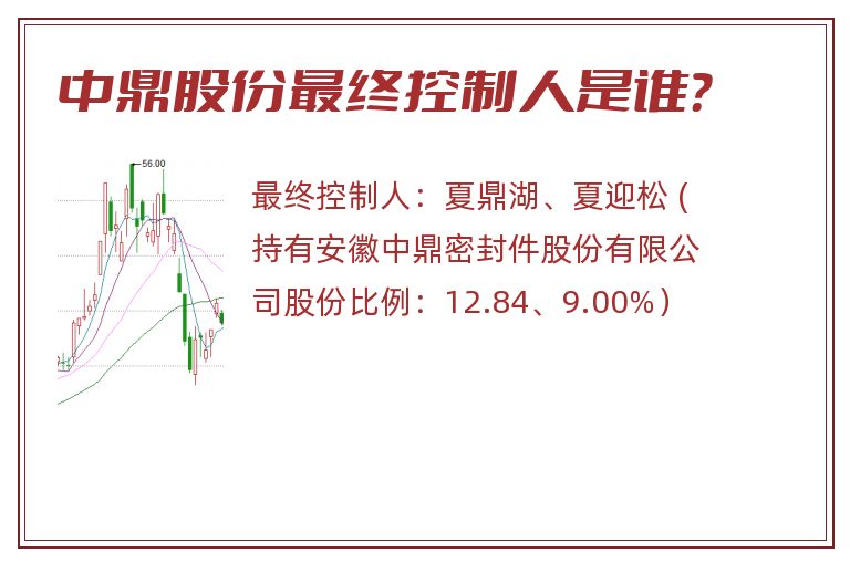 中鼎股份最终控制人是谁？