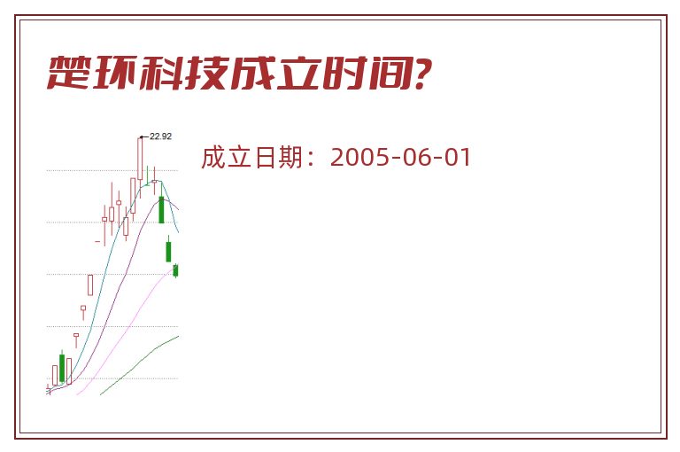 楚环科技成立时间？