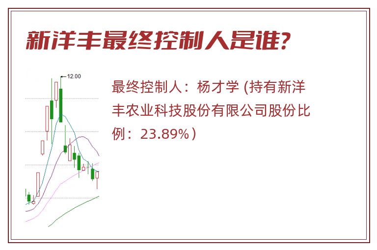 新洋丰最终控制人是谁？