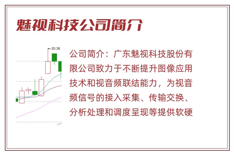 魅视科技公司简介