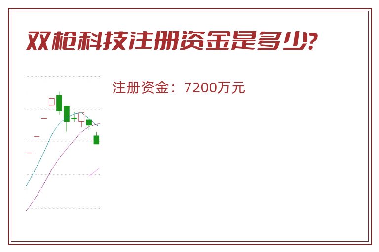 双枪科技注册资金是多少？