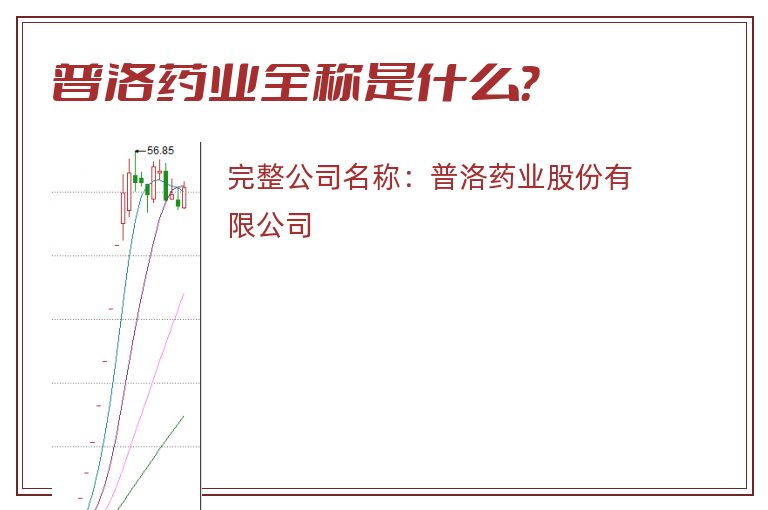 普洛药业全称是什么？