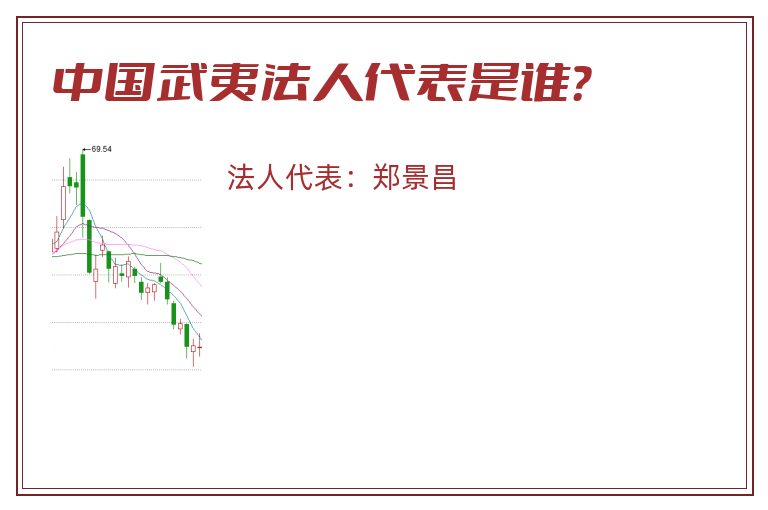 中国武夷法人代表是谁？