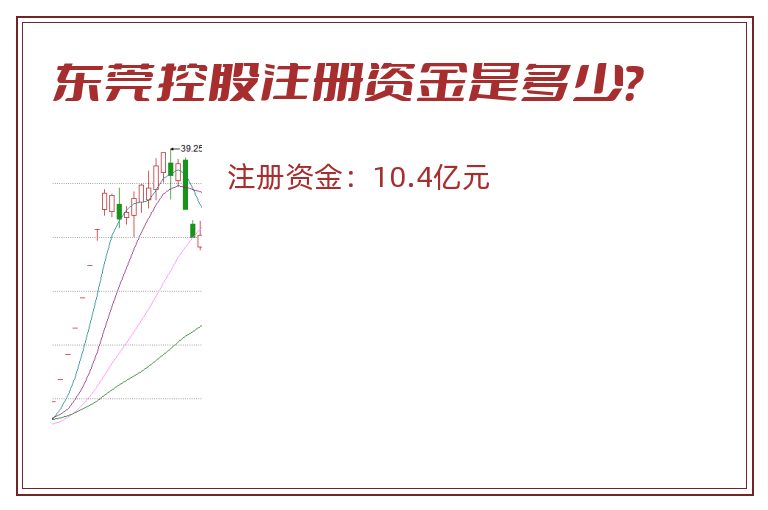 东莞控股注册资金是多少？