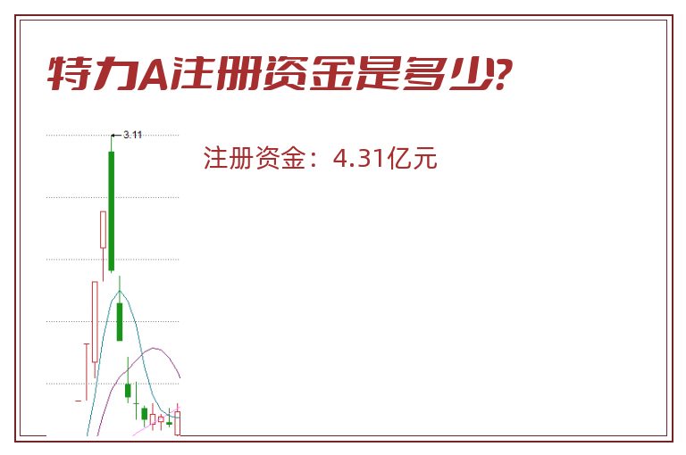 特力A注册资金是多少？