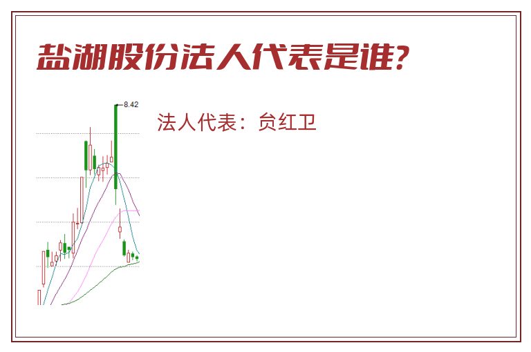 盐湖股份法人代表是谁？