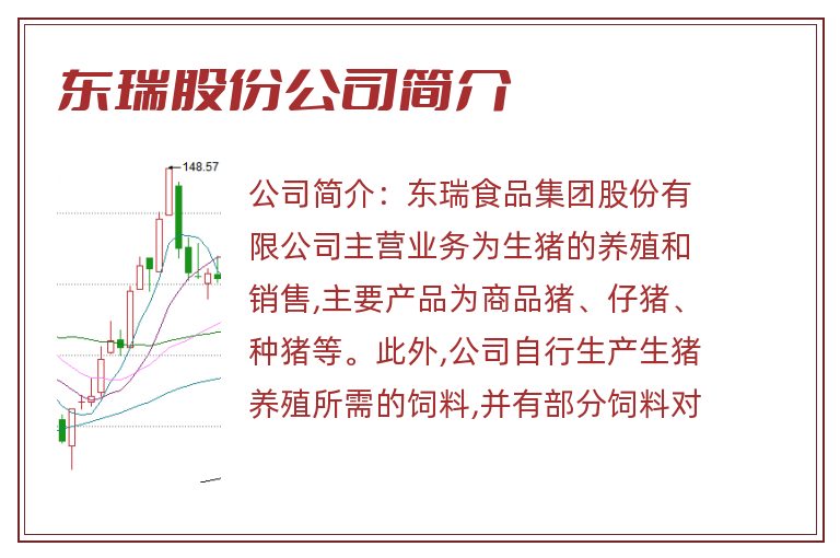 东瑞股份公司简介